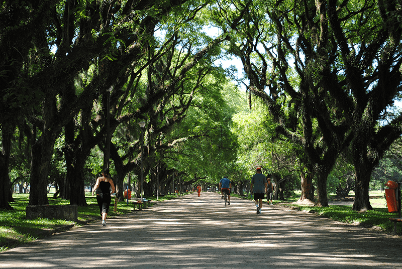 Caminhadas no Parque Marinha do Brasil - Bairros Praia de Belas e Menino Deus